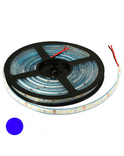 Светодиодная лента RUICHI, 2835, 300 LED, IP68, 12 В, цвет синий, катушка 5 м (цены указаны за 1 м)