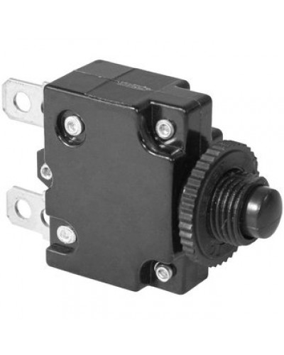 Автоматический выключатель RUICHI L-MZ, 43.8х29х14.3 мм, 30 А, постоянный и переменный ток, корпус черный, кнопка черная