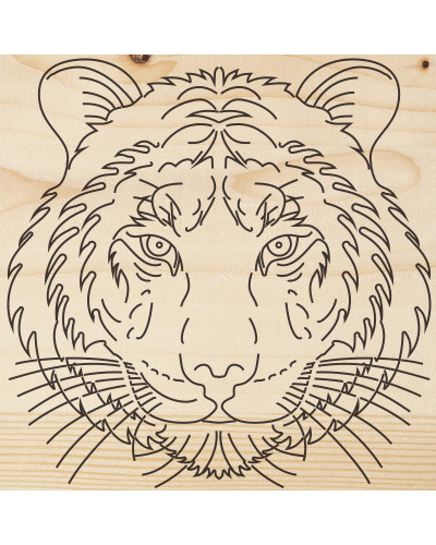 Доска для выжигания «Тигр», 150х150мм, 1 шт., пакет REXANT