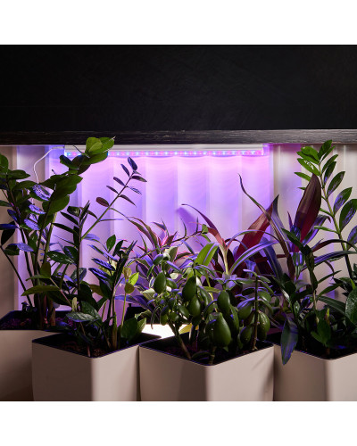 Светильник светодиодный для растений REXANT Green line 14 Вт LED с комплектом креплений