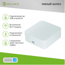Умный Wi-Fi/Zigbee/Bluetooth шлюз SECURIC