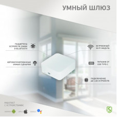 Умный Wi-Fi/Zigbee/Bluetooth шлюз SECURIC