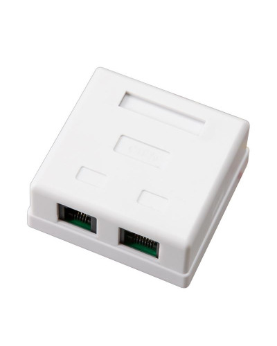Розетка телефонная + сетевая LAN, на стену, (гнездо 8Р8С (RJ-45) + гнездо 6Р4С (RJ-11)) REXANT