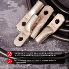Наконечник медный луженый ТМЛ 25–6–8 (25мм² - Ø6мм) ГОСТ 7386-80 (в упак. 100 шт.) REXANT