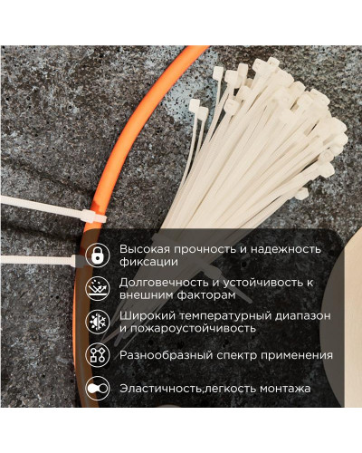 Стяжка кабельная нейлоновая 100x2,5мм, белая (100 шт/уп) PROconnect