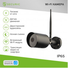 Wi-Fi cмарт-камера SECURIC