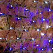 Гирлянда светодиодная Сеть 2х1,5м 288 LED БЕЛЫЙ/СИНИЙ черный ПВХ IP65 свечение с динамикой 230В контроллер в комплекте NEON-NIGHT