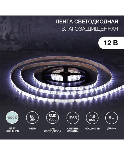 Лента светодиодная 12В, SMD2835, 4,8Вт/м, 60 LED/м, 6500К, 8мм, 5м, для БП с клеммами, IP65 LAMPER