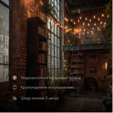 Уличная гирлянда Лофт 10м, черный каучук, 20 прозрачных ламп, теплый белый, влагостойкая IP65