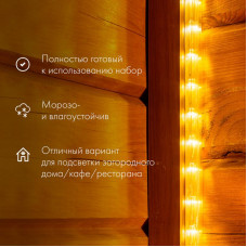 Дюралайт LED фиксинг (2W), 24 LED/м, мульти (RYGB), 10 м