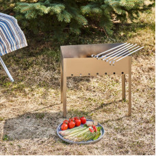 Мангал сборный Эконом 400х250х400мм, с 6 шампурами, в пленке СОКОЛ