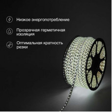 Лента светодиодная 220В, SMD5050, 14,4Вт/м, 60 LED/м, Холодный белый, 13х8мм, 100м, с кабелем питания, IP67 NEON-NIGHT