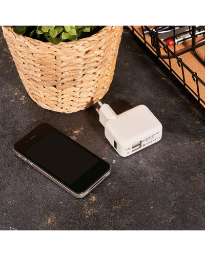 Сетевое зарядное устройство 2xUSB,  переходник+адаптер (СЗУ) (5 V, 2100 mA+1000 mA) REXANT