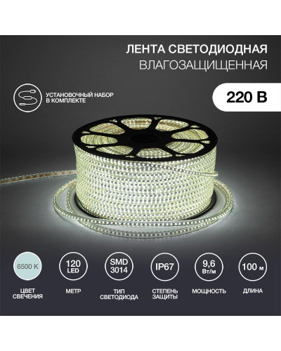 Лента светодиодная 220В, SMD3014, 9,6Вт/м, 120 LED/м, Холодный белый, 6х10,6мм, 100м, с кабелем питания, IP67 NEON-NIGHT