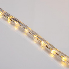 Дюралайт LED двухжильный 230В 13мм 24LED/м ТЕПЛЫЙ БЕЛЫЙ эффект мерцания модуль 2м Эконом