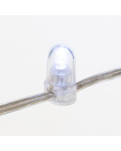 Гирлянда LED Клип-лайт 12 V, прозрачный ПВХ, 150 мм, цвет диодов Белый Flashing (Белый)