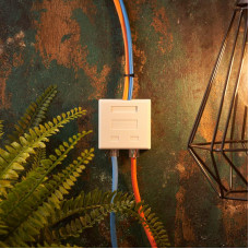 Розетка комбинированная внешняя, UTP RJ-45(8P8C) + RJ-11(6P-4C) REXANT