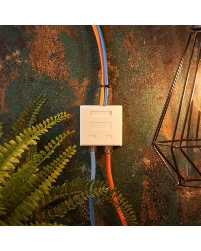 Розетка комбинированная внешняя, UTP RJ-45(8P8C) + RJ-11(6P-4C) REXANT