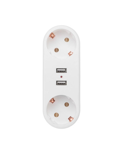 Двойник электрический линейный 16А с/з + 2 USB-порта, 2,4 А, белый REXANT