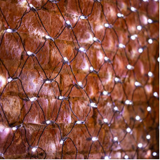 Гирлянда светодиодная Сеть 2х1,5м 288 LED БЕЛЫЙ черный ПВХ IP65 свечение с динамикой 230В блок в комплекте NEON-NIGHT