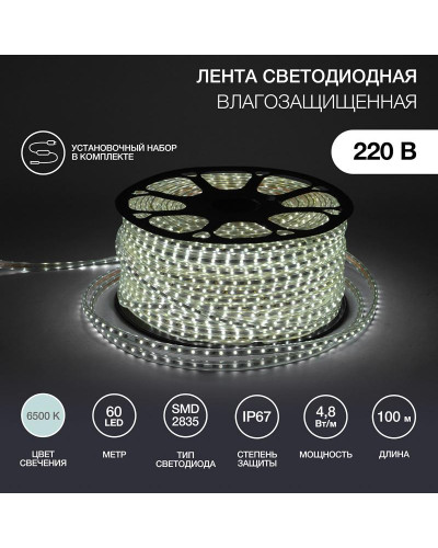 Лента светодиодная 220В, SMD2835, 60 LED/м, Холодный белый, 10х7мм, 100м, с кабелем питания, IP67 NEON-NIGHT