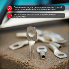 Наконечник медный луженый ТМЛ 4–6–3 (4мм² - Ø6мм) ГОСТ 7386-80 (в упак. 10 шт.) REXANT