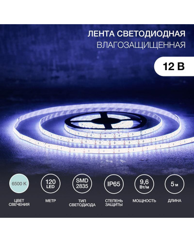 Лента светодиодная 12В, SMD2835, 9,6 Вт/м, 120 LED/м, 6500К, 8мм, 5м, IP65 LAMPER