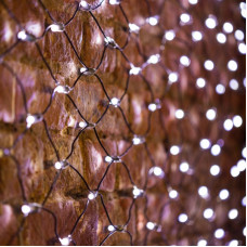 Гирлянда светодиодная Сеть 2х0,7м 176 LED БЕЛЫЙ черный ПВХ IP65 свечение с динамикой 230В контроллер в комплекте NEON-NIGHT