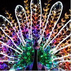 Декоративная 3D Павлин радужный 200 см