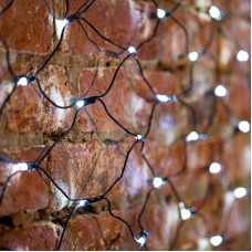 Гирлянда светодиодная Сеть 1х1,5м 160 LED БЕЛЫЙ черный ПВХ IP65 свечение с динамикой 230В блок в комплекте NEON-NIGHT