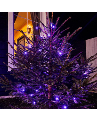 Гирлянда Нить управляемая 10м 100 LED ФИОЛЕТОВЫЙ черный ПВХ IP65 свечение с динамикой 230В контроллер в комплекте NEON-NIGHT