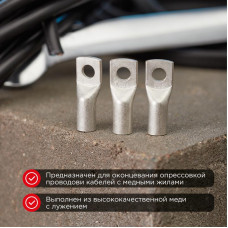 Наконечник медный луженый ТМЛ-Р 25–6 (25мм² - Ø6мм) (в упак. 100 шт.) REXANT