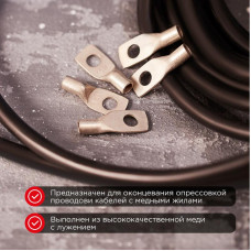 Наконечник медный луженый ТМЛ-Р 10–6 (10мм² - Ø6мм) (в упак. 100 шт.) REXANT