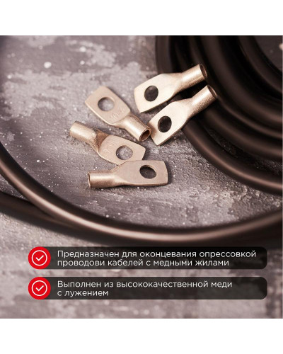 Наконечник медный луженый ТМЛ-Р 10–6 (10мм² - Ø6мм) (в упак. 100 шт.) REXANT