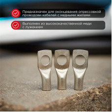 Наконечник медный луженый ТМЛ-Р 6–6 (6мм² - Ø6мм) (в упак. 10 шт.) REXANT
