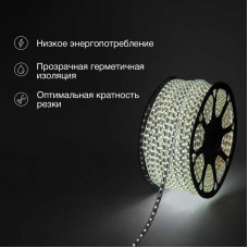 Лента светодиодная 220В, SMD2835, 60 LED/м, Холодный белый, 10х7мм, 100м, с кабелем питания, IP67 NEON-NIGHT