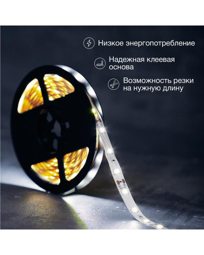 Лента светодиодная 12В, SMD2835, 4,8Вт/м, 60 LED/м, 6500K, 8мм, 5м, IP20 LAMPER