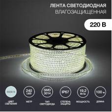 Лента светодиодная 220В, SMD3014, 19,2Вт/м, 240 LED/м, Холодный белый, 6,5х15мм, 100м, с кабелем питания, IP67 NEON-NIGHT