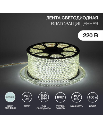 Лента светодиодная 220В, SMD3014, 19,2Вт/м, 240 LED/м, Холодный белый, 6,5х15мм, 100м, с кабелем питания, IP67 NEON-NIGHT