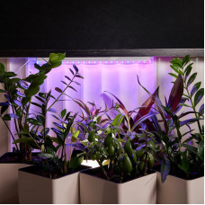 Светильник светодиодный для растений REXANT Green line 14 Вт LED с комплектом креплений