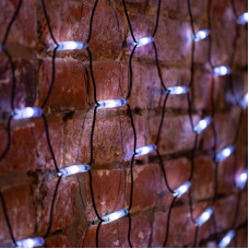 Гирлянда светодиодная Сеть 2x1,5м 288 LED БЕЛЫЙ черный каучук IP67 постоянное свечение 230В блок в комплекте NEON-NIGHT