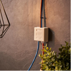 Розетка телефонная + сетевая LAN, на стену, (гнездо 8Р8С (RJ-45) + гнездо 6Р4С (RJ-11)) REXANT