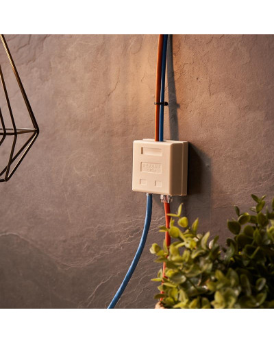 Розетка телефонная + сетевая LAN, на стену, (гнездо 8Р8С (RJ-45) + гнездо 6Р4С (RJ-11)) REXANT