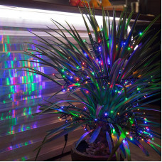 Гирлянда Кластер LED 3 м, темно-зеленый ПВХ IP20, 288 диодов, цвет мультиколор