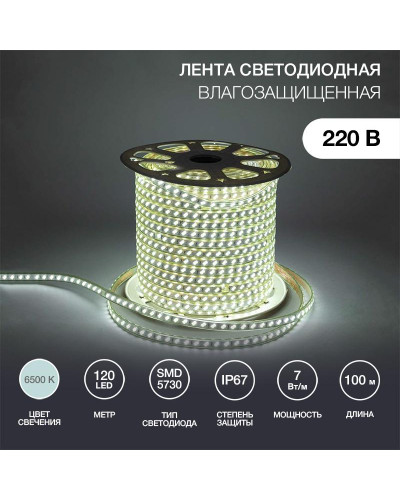 Лента светодиодная 220В, SMD5730, 7Вт/м, 120 LED/м, Холодный белый, 6,5х17мм, 100м, без установочного набора, IP67 NEON-NIGHT