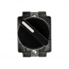 Переключатель BD21 2P короткая ручка NO