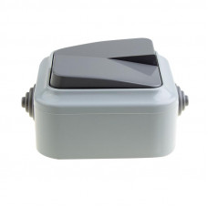 Выключатель двухклавишный влагозащищенный открытой установки REXANT IP54, 10 А, А56-224 (03)