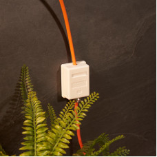 Рoзетка компьютерная внешняя 1-порт, UTP RJ-45 (8P8C), CAT 5e REXANT