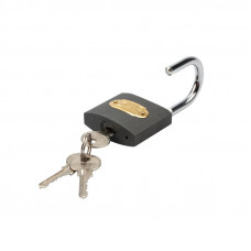 Замок навесной серия Чугун 50мм ЧЕТЫРЕ СЕЗОНА