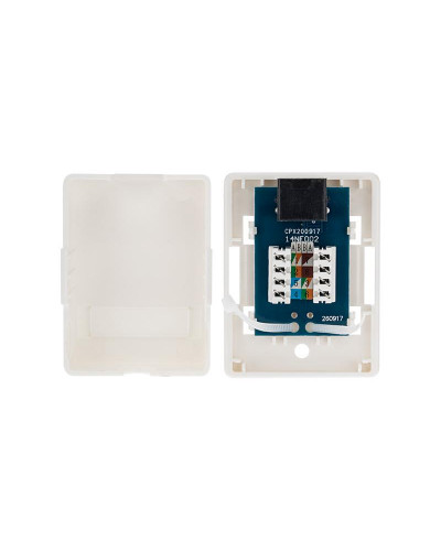Розетка компьютерная внешняя, 1-порт RJ-45 (8P8C), UTP CAT 6 REXANT